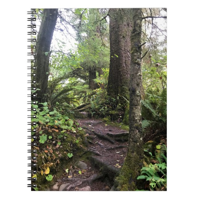 Oswald West State Park, Oregon Coast Notebook (Front)