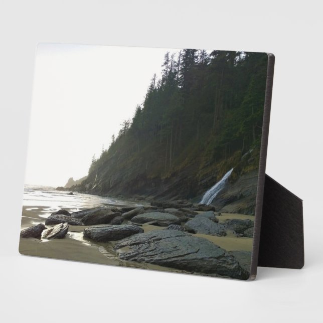 Oswald West State Park, Oregon Coast Plaque (Side)