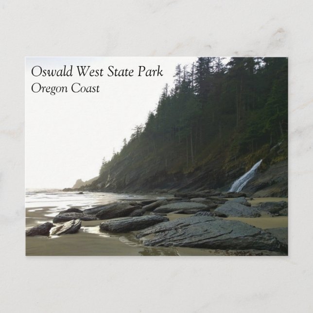 Oswald West State Park, Oregon Coast Postcard (Front)