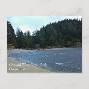 Oswald West State Park, Oregon Coast Postcard