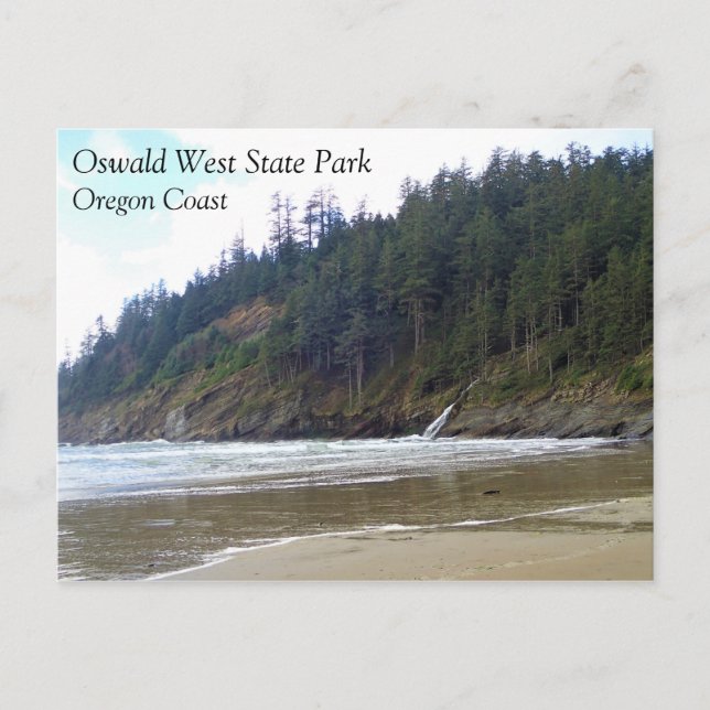 Oswald West State Park, Oregon Coast Postcard (Front)