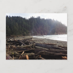 Oswald West State Park, Oregon Coast Postcard