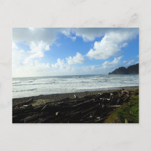 Oswald West State Park, Oregon Coast Postcard