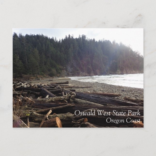 Oswald West State Park, Oregon Coast Postcard (Front)