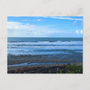 Oswald West State Park, Oregon Postcard