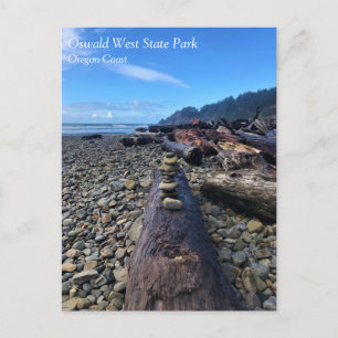 Oswald West State Park, Oregon Postcard