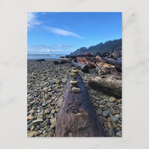 Oswald West State Park, Oregon Postcard