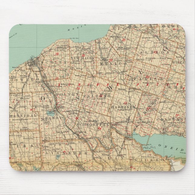 Oswego, Cayuga, Onondaga counties Mouse Pad (Front)