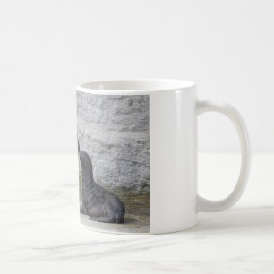 Otaria flavescens coffee mug