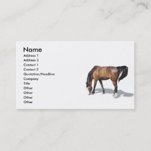 Other017 , Name, Address 1, Address 2, Contact ... Business Card