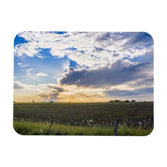 Other Sunset Magnet (Horizontal)