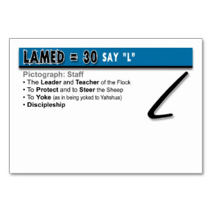 Otiot Flash Cards: 12 of 22