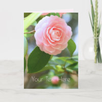 Otome-tsubaki: Camellia [Greeting Card]