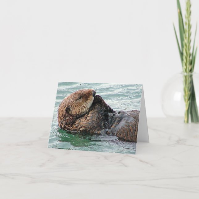 otter 117c card (Front)
