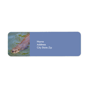 Otter 201 Label Return Address Label