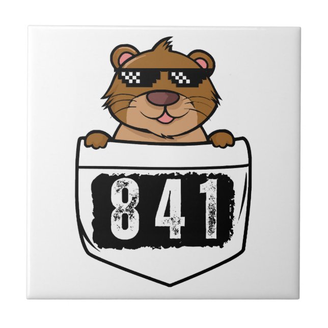 Otter 841  ceramic tile (Front)