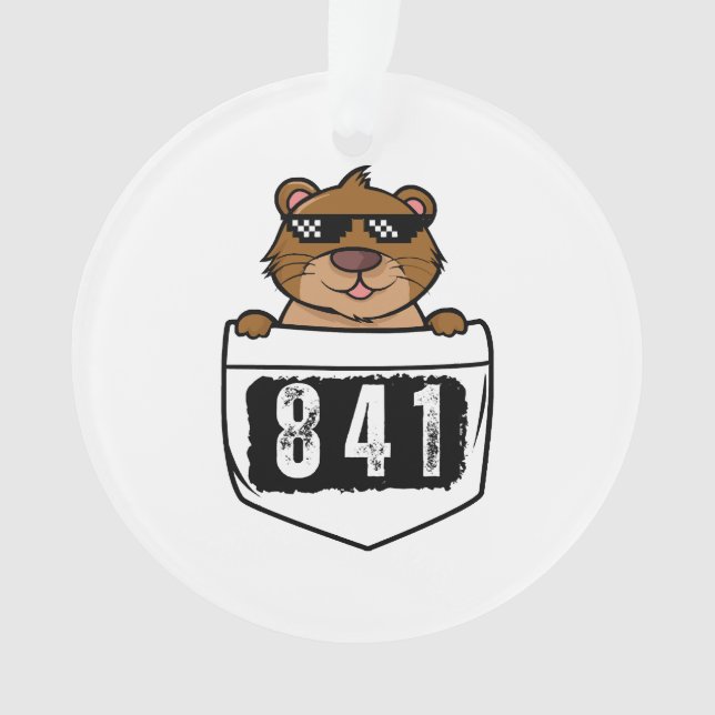 Otter 841  ornament (Front)