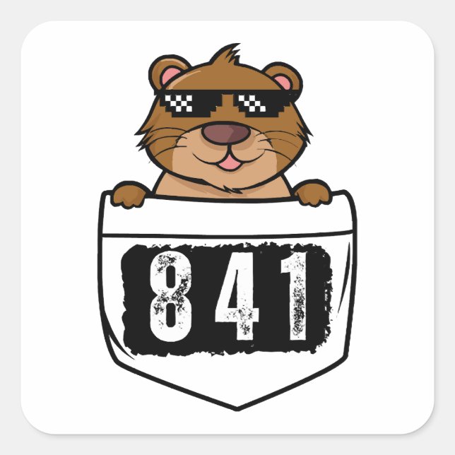 Otter 841  square sticker (Front)