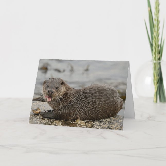 Otter Card (Front)