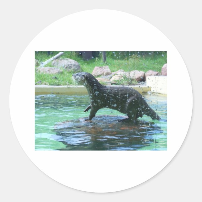 Otter Classic Round Sticker (Front)