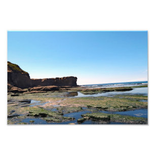 Otter Crest Beach Oregon Photo Print