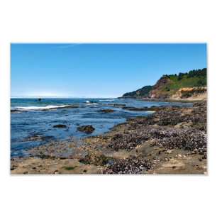 Otter Crest Beach Oregon  Photo Print