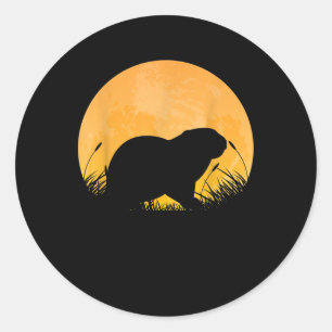 Otter Easy Halloween Outfit Weasel Animal Moon Classic Round Sticker