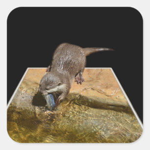 Otter Eating Tasty Fish Popout Art Square Stickers