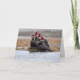 Otter Family Christmas Card