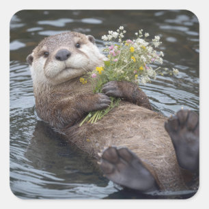 Otter Floating with Wildflower Bouquet Square Sticker