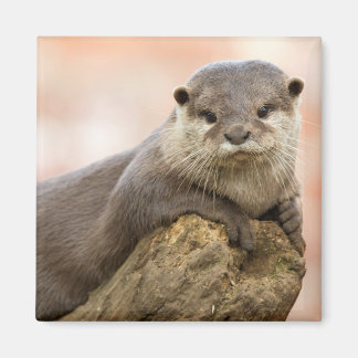 Otter Fridge Magnet