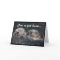 Otter Friends Card