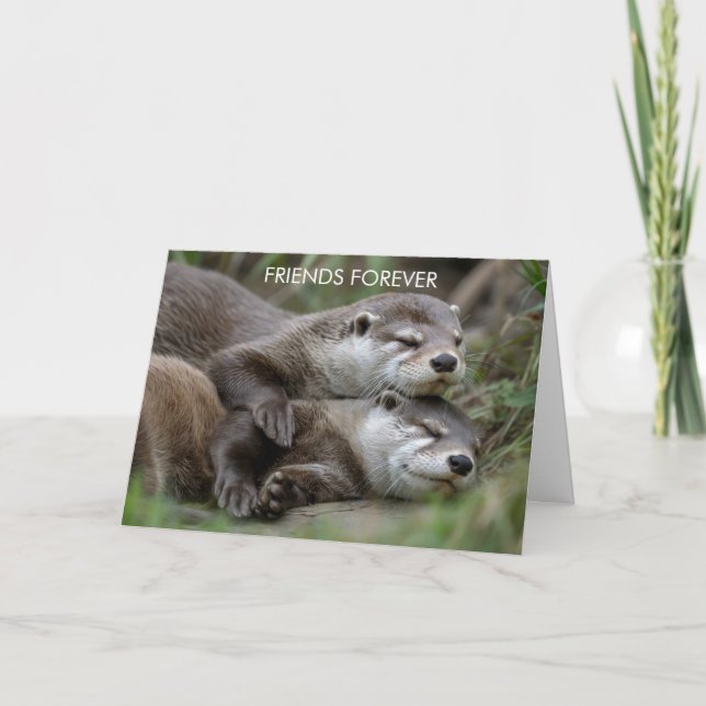 Otter Friends Forever Friendship Card (Front)