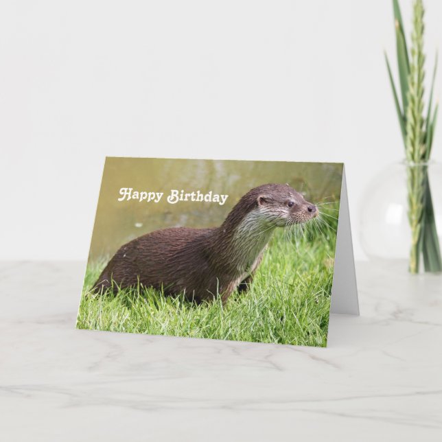 Otter Grass Wildlife Photo Birthday Card (Front)