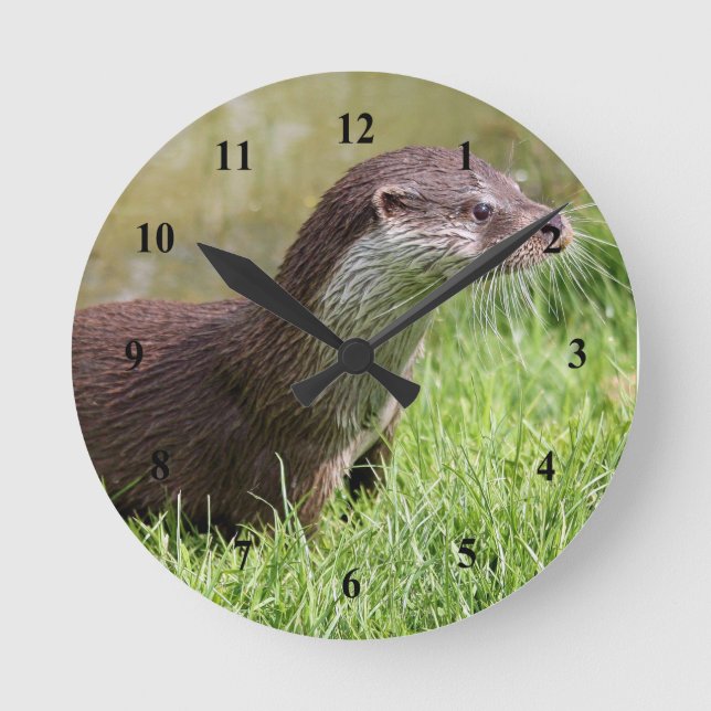 Otter Grass Wildlife Photo Round Clock (Front)