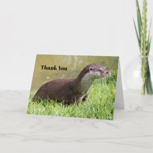 Otter Grass Wildlife Photo Thank You Card