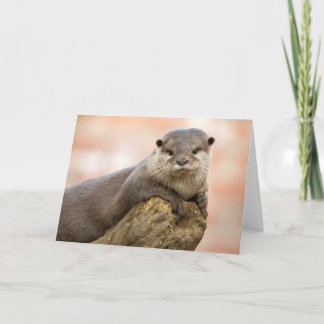 Otter Greetings Card