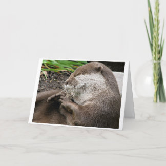 Otter-ly Amazing Holidays Holiday Card