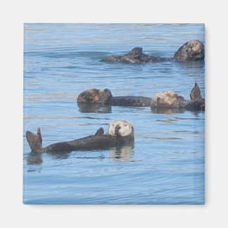 Otter Magnet
