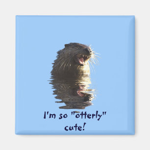 OTTER Magnet