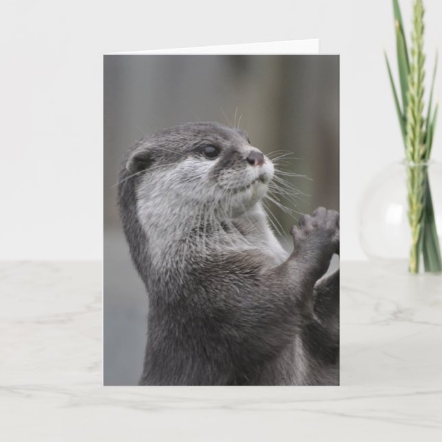 Otter Mastermind Greeting Card (Front)