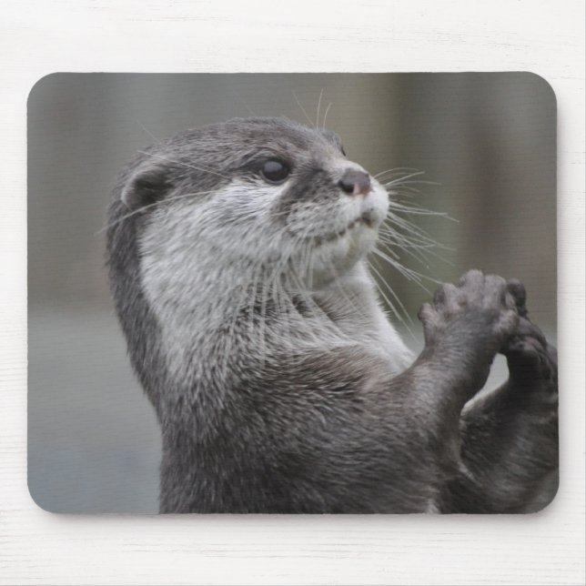 Otter Mastermind Mouse Pad (Front)