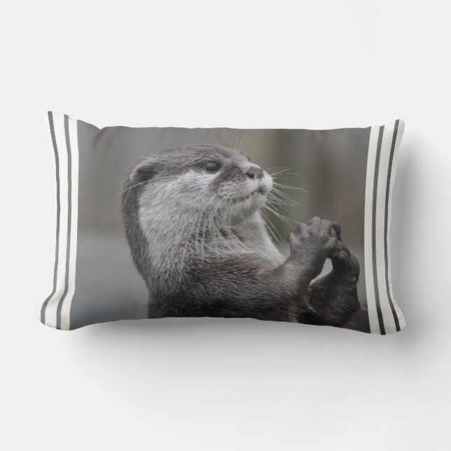 Otter Mastermind Pillow (Front)