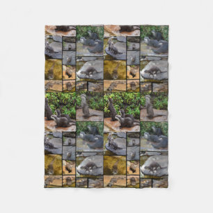 Otter Photo Collage Small Fleece Blanket