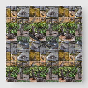 Otter Photo Collage, Square Wall Clock. Clock