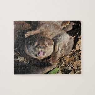 Otter photo jigsaw puzzle