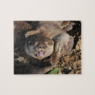 Otter photo jigsaw puzzle