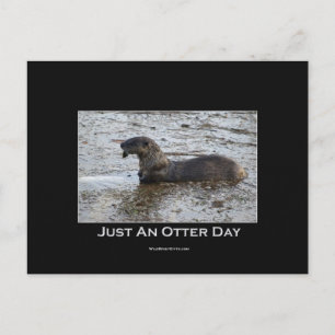 Otter Postcards