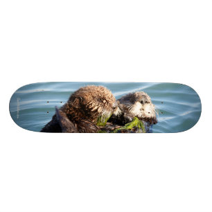 Otter pup and mother with kelp skateboard