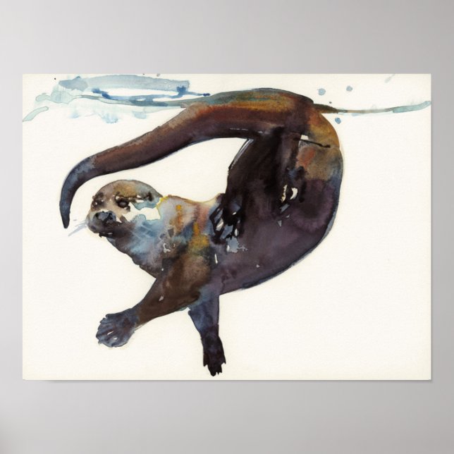 Otter Study II -'Talisker' Poster (Front)